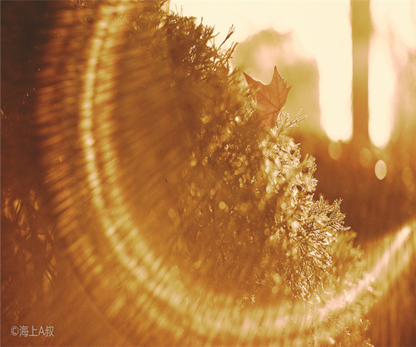 為什么大家喜歡在4月份裝修房子呢？