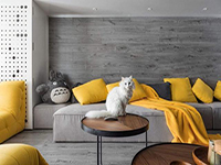 純干貨！家里有寵物的十個(gè)裝飾小建議